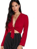 Red Knot Front Plunging Crop Blouse
