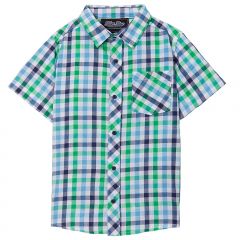 Navy & Green Plaid Button-Up